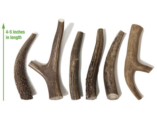 Medium Deer Antler Dog Treats