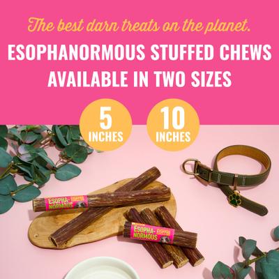 Esophanormous 5-inch Beef & Sweet Potato Bully Stick Dog Chew Treats, 1 count