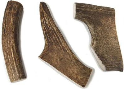 Moose Antler Dog Treats, Large
