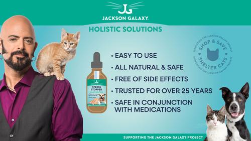 Solutions Obsession Remedy Aromatherapy for Dogs & Cats, 2-oz bottle