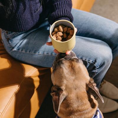 Hip & Joint Soft Chew Supplement for Dogs, 55 count