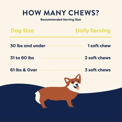 Hip & Joint Soft Chew Supplement for Dogs, 55 count