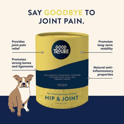 Hip & Joint Soft Chew Supplement for Dogs, 55 count