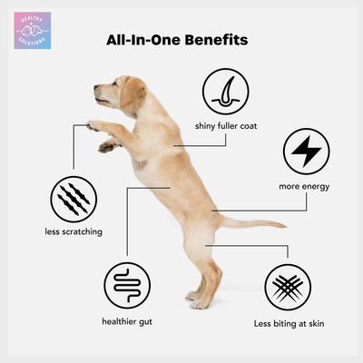 All-in-One Vitamins Supplement for Dogs, 60 count