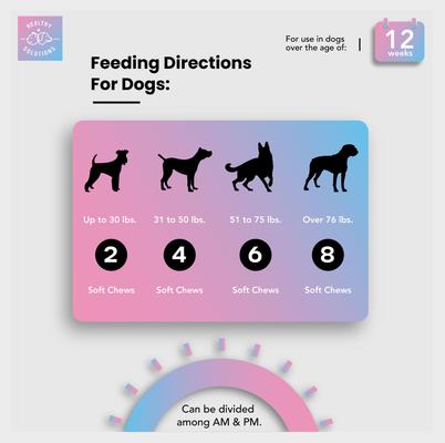 All-in-One Vitamins Supplement for Dogs, 60 count