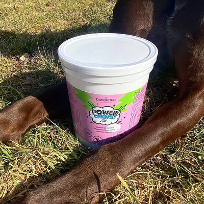 Power Chews! Soft Chew Joint Supplement for Dogs, 60 count