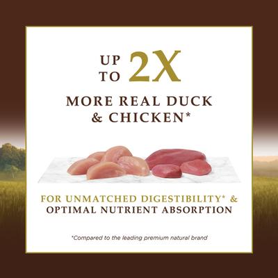 Ultimate Protein Cage-Free Duck Recipe Grain-Free Dry Cat Food, 4-lb bag