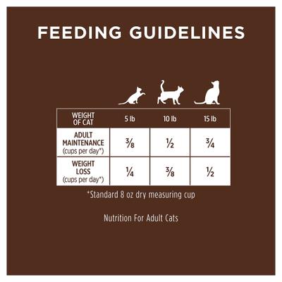 Ultimate Protein Cage-Free Duck Recipe Grain-Free Dry Cat Food, 4-lb bag