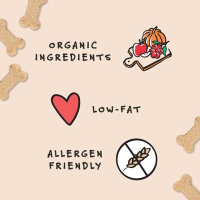 Pumpk'n Harvest Biscuits Crunchy Dog Treats, 12-oz bag