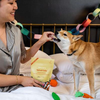 Spiced Cake Biscuits Crunchy Dog Treats, 12-oz bag