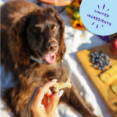 Wild Berry Biscotti Biscuits Crunchy Dog Treats, 12-oz bag