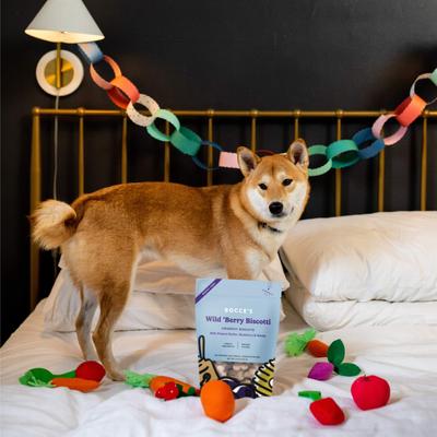 Wild Berry Biscotti Biscuits Crunchy Dog Treats, 12-oz bag