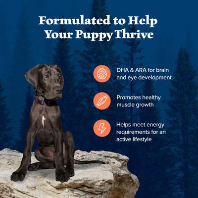 Wilderness Large Breed Puppy High Protein Natural Chicken & Wholesome Grains Dry Dog Food, 24-lb bag