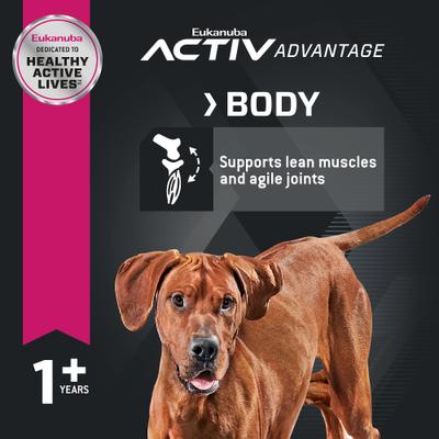 Adult Large Breed Lamb 1st Ingredient Dry Dog Food, 15-lb bag