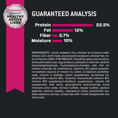 Adult Large Breed Lamb 1st Ingredient Dry Dog Food, 15-lb bag