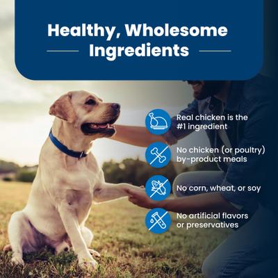 Alimento seco para perros mayores con receta de pollo y arroz integral Life Protection Formula, bolsa de 34 lb