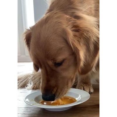 Alimento húmedo para perros y gatos Daily Dish Chicken Broth de grado humano, botella de 1.1 lb