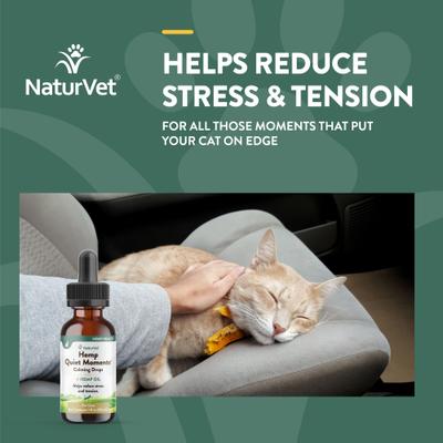 Hemp Quiet Moments Liquid Calming Supplement for Cats, 1-fl oz bottle