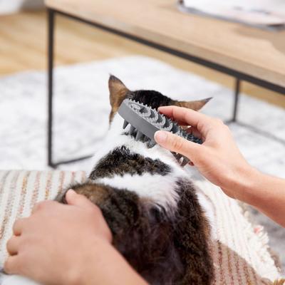 Cat Curry Brush, Gray