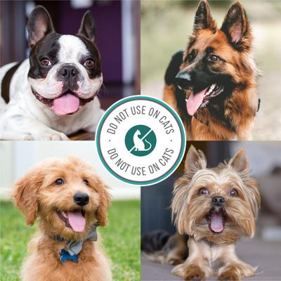 Tar & Sulfur Medicated Shampoo, 32-fl oz bottle