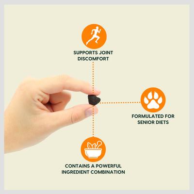 Gray Muzzle Old Bones Happy Joint Soft Chew Joint Supplement for Senior Dogs, 90 count