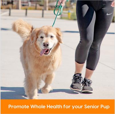 Gray Muzzle Old Bones Happy Joint Soft Chew Joint Supplement for Senior Dogs, 90 count