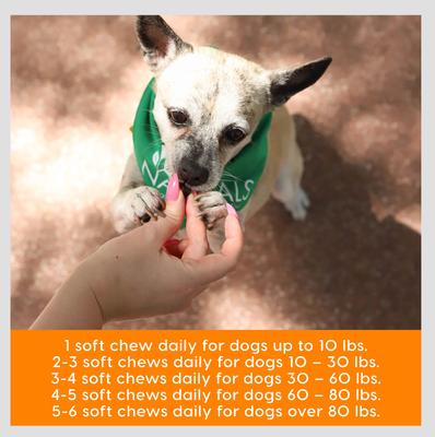 Gray Muzzle Old Bones Happy Joint Soft Chew Joint Supplement for Senior Dogs, 90 count