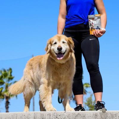 Gray Muzzle Old Bones Happy Joint Soft Chew Joint Supplement for Senior Dogs, 90 count