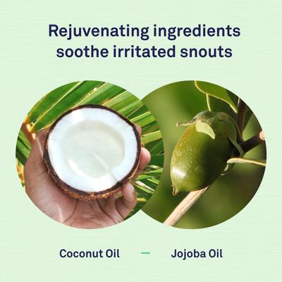 Dog Snout Balm with Jojoba & Coconut Oil, 0.64-fl oz