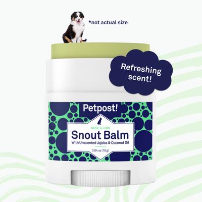 Dog Snout Balm with Jojoba & Coconut Oil, 0.64-fl oz