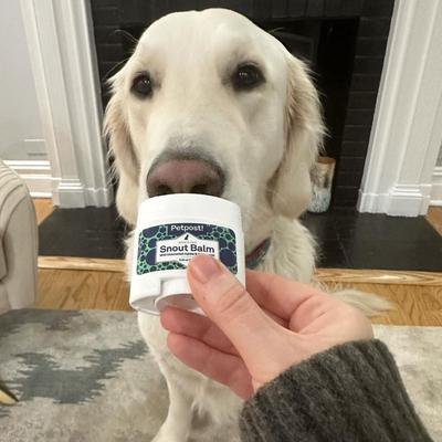 Dog Snout Balm with Jojoba & Coconut Oil, 0.64-fl oz