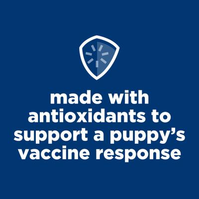 Puppy Small Breed & Mini Breed Beef & Barley Entree Wet Dog Food, 5.8-oz can, 24 count