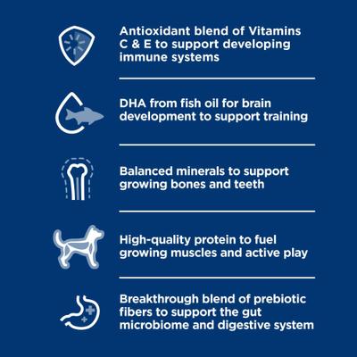 Puppy Small Breed & Mini Breed Beef & Barley Entree Wet Dog Food, 5.8-oz can, 24 count