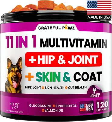 11 in 1 Multivitamin with Glucosamine Salmon Flavored Chew Supplement for Dogs, 120 count