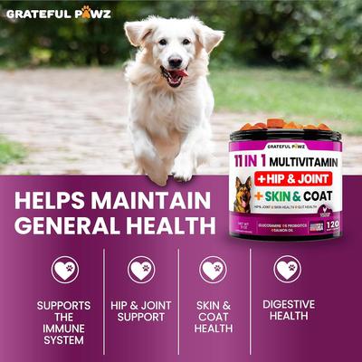 11 in 1 Multivitamin with Glucosamine Salmon Flavored Chew Supplement for Dogs, 120 count
