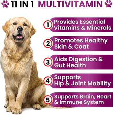 11 in 1 Multivitamin with Glucosamine Salmon Flavored Chew Supplement for Dogs, 120 count