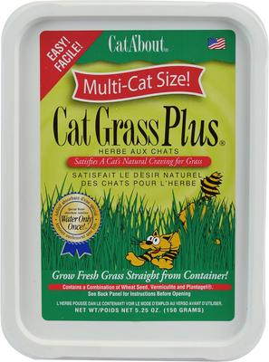 Cat A'bout Herbs & Spices Cat Grass Plus, 5.25-oz container