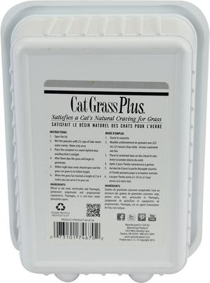 Cat A'bout Herbs & Spices Cat Grass Plus, 5.25-oz container
