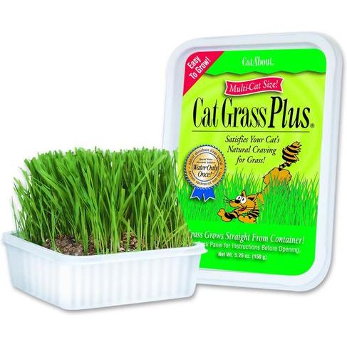 Hierba para gatos Cat A'bout Herbs & Spices Plus, envase de 5.25 oz