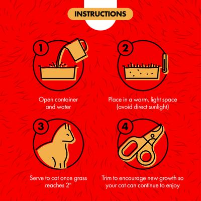 Cat A'bout Herbs & Spices Cat Grass Plus, 5.25-oz container
