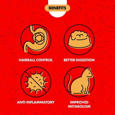 Hierba para gatos Cat A'bout Herbs & Spices Plus, envase de 5.25 oz