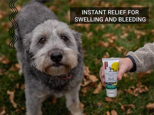 First Aid Ointment Dog, Cat & Horse Cream, 2-fl oz bottle, 1