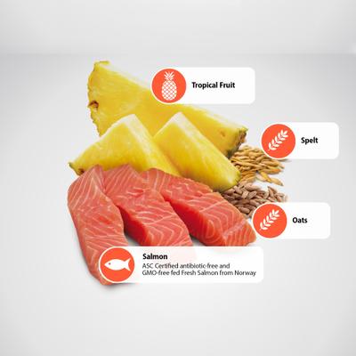 N&D Tropical Selection Salmon Adult Mini Dry Dog Food, 11-lb bag