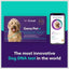 Orivet Geno Pet Plus Dog DNA Breed Identification + Health Test