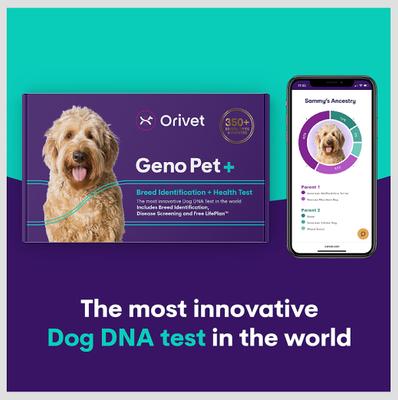 Prueba de ADN para identificación de raza y salud canina Geno Pet Plus