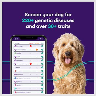 Geno Pet Plus Dog DNA Breed Identification + Health Test