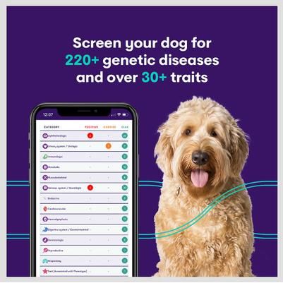 Orivet Geno Pet Plus Dog DNA Breed Identification + Health Test