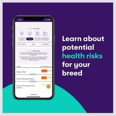 Orivet Geno Pet Plus Dog DNA Breed Identification + Health Test