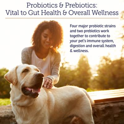 Rx Biotic Powder Digestive Supplement for Cats & Dogs, 2.12-oz bottle