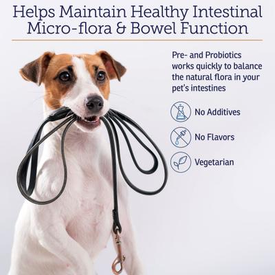 Rx Biotic Powder Digestive Supplement for Cats & Dogs, 2.12-oz bottle